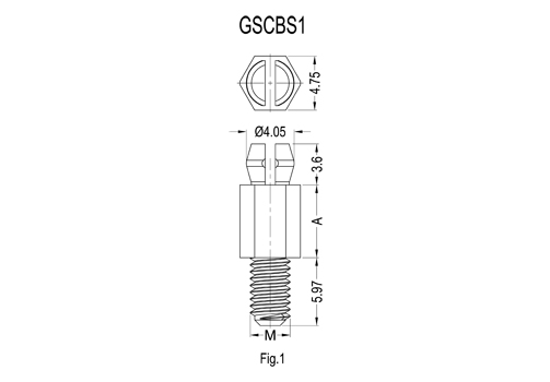 GSCBS1&GSCBS2 2D 503X350.jpg